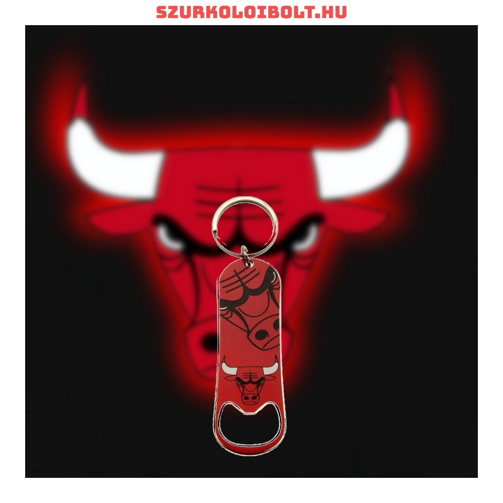 Chicago bulls store keychain