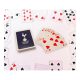 Tottenham Hotspur Playing Cards