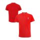 Liverpool  collar T-shirt 