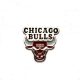 Chicago Bulls Badge - official NBA pin / badge