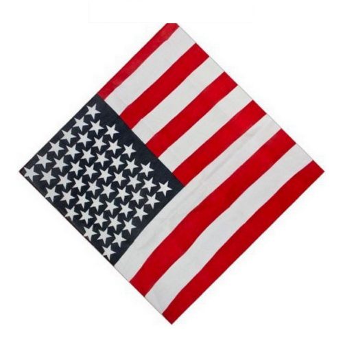 Team USA bandana