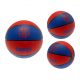 FC Barcelona FC basketball Signature