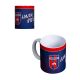 Fehérvár FC FC mug