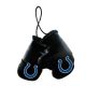 Indianapolis Colts Mini boxing Gloves