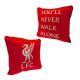 Liverpool pillow